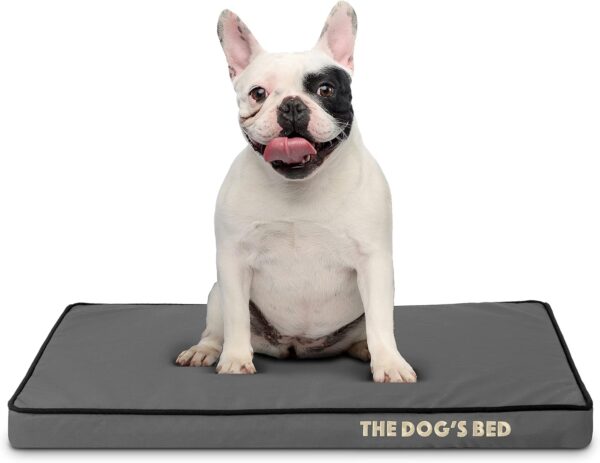 The Dog’s Bed Orthopaedic Dog Bed Small Grey with Black Piping 71x48x5cm, Waterproof Memory Foam Dog Bed