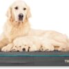 The Dog’s Bed Orthopaedic Dog Bed XL Grey with Blue Piping 117x71x10cm, Waterproof Memory Foam Dog Bed