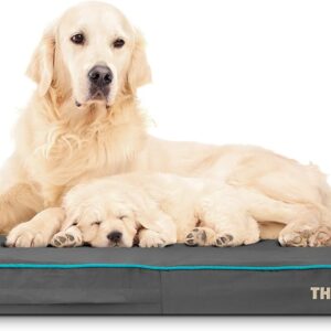 The Dog’s Bed Orthopaedic Dog Bed XL Grey with Blue Piping 117x71x10cm, Waterproof Memory Foam Dog Bed