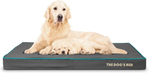 The Dog’s Bed Orthopaedic Dog Bed XL Grey with Blue Piping 117x71x10cm, Waterproof Memory Foam Dog Bed