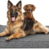 The Dog’s Bed Orthopaedic Headrest Dog Bed XXL Grey with Grey Linen Trim 137x91x10cm, Waterproof Memory Foam Dog Bed