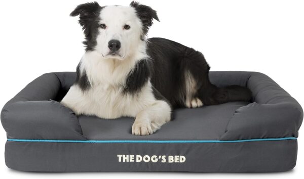 The Dog’s Bed, Orthopaedic Memory Foam Waterproof Dog Bed, Large Grey with Blue Trim, Eases Pet Arthritis & Hip Dysplasia Pain, Therapeutic & Supportive, Washable Quality Oxford Fabric Cover