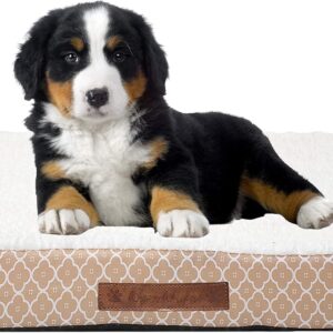 Wags N' Whiskers Angus Trellis Orthopedic Small Pet Bed