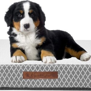 Wags N' Whiskers Atkins Lattice Small Orthopedic Pet Bed