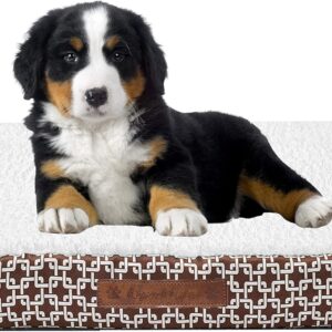 Wags N' Whiskers Bogart Gate Orthopedic Small Pet Bed