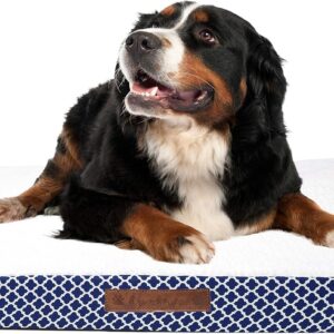 Wags N' Whiskers Cezebel Trellis Orthopedic Large Pet Bed