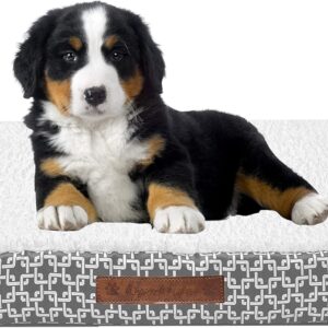 Wags N' Whiskers Gate Orthopedic Small Pet Bed