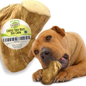 Woodbone Coffee Tree Root Dog Chew for Extra Large Dogs - Natural Wood Dental Chewing Toy - Size XL