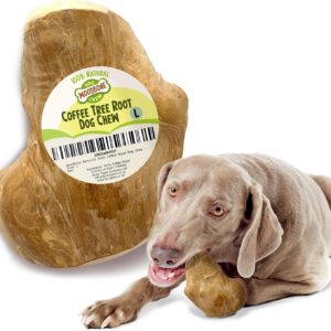 Woodbone Coffee Tree Root Dog Chew for Large Dogs - Natural Wood Dental Chewing Toy - Size L