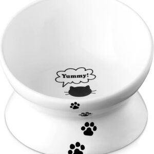 Y YHY Raised Cat Bowl,3.6x5.0 inch Premium Ceramic Cat Food Bowls Anti Vomiting,4 oz Tilted Elevated Cat Feeder,15°Pet Feeding Bowl,Tilt Angle Protect Cat's Spine,Dishwasher Safe,Gift for Cats,White