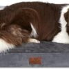 Yiruka Large Dog Bed, Dark Grey Dog Beds for Large Dogs, Washable Dog Bed with Removale Bolsters, High Bolster Waterproof Dog Bed with Nonslip Bottom, Orthopedic Dog Bed up to 65 lbs