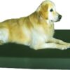 dogbed4less Orthopedic Gel Infused Memory Foam Dog Bed for Large Pet, Waterproof Liner with Durable Canvas Cover, 55X37X4 Inch, Fit 54X37 Crate