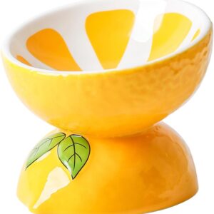 fanquare Yellow Lemon Ceramic Cat Bowls, Tilted Elevated Dog Food Bowl, Porcelain Raised Pet Bowl for Adult Kitten Puppy, 180ml