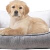 long rich Happycare Textiles Orthopedic rectangle bolster Pet Bed,Dog Bed, Super soft plush, Medium 25x21 inches Gray