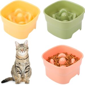 saerryor 3Pcs Raised Cat Bowl Cat Bowls with Stand Tilted Elevated Cat Slow Feeder Cat Food Bowls Ergonomic Cat Feeding Bowls Cat Food Water Bowl Cat Dishes Raised Pet Feeder for Cat Small Dog