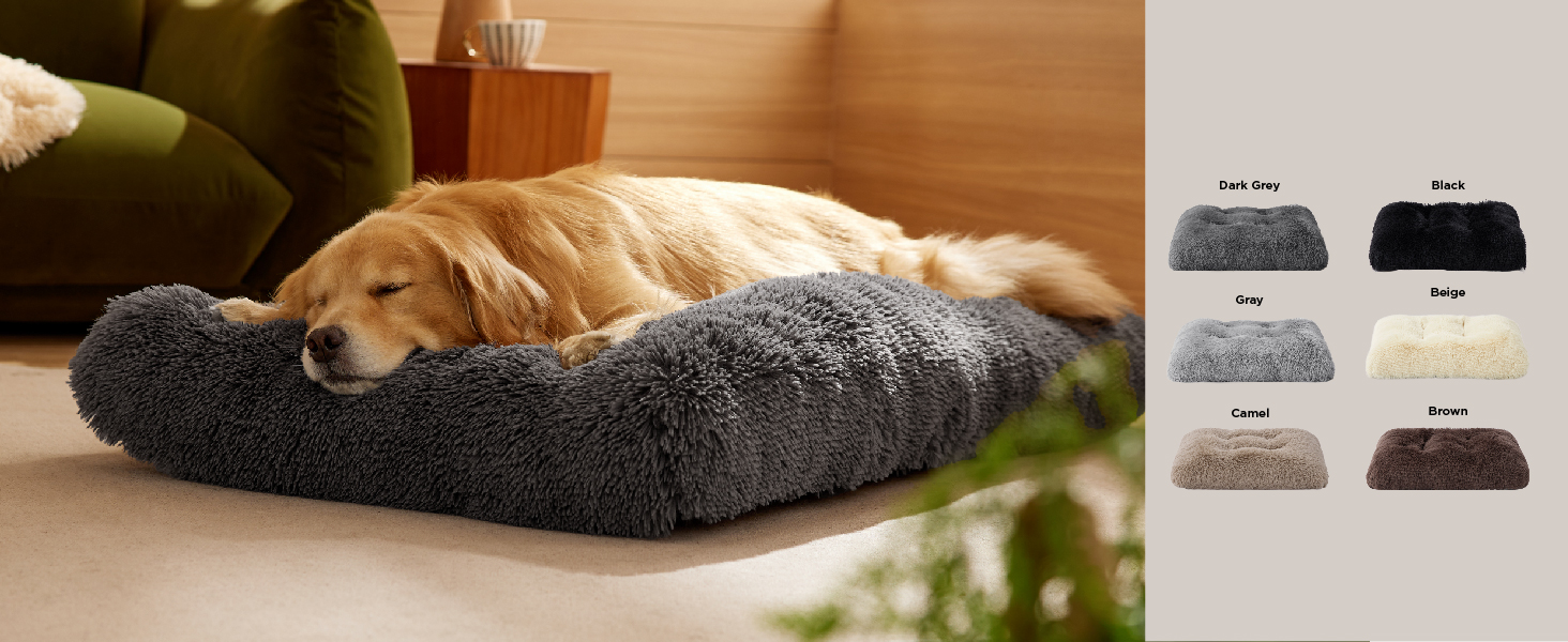 dog bed