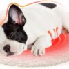 Vimoli Dog Bed, Pet Heating Pad for Cats, Dogs, Waterproof Electric Heating Mat for Indoor Use, Adjustable Heat Mat, Heated Bed for Pets, beige, 6.5