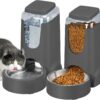 2 Pack Automatic Cat Feeder and Gravity Stainless Steel Water Dispenser, Dog Food Feeder and Waterer Set for Small Medium Puppy Kitten Pets (1 Gallon x 2, Gray)