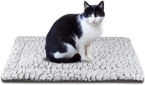 Akewell Cat Create Heated mat Bed Self-Heating Cat and Dog Pad, Warm Pet Pad, Thick and Soft, Double-Sided Available (Small, Stone)