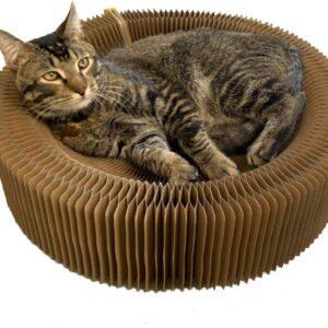 BobbyPet Cat Scratcher Lounge Bed - Collapsible Round Shape for Big cat