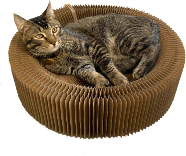 BobbyPet Cat Scratcher Lounge Bed - Collapsible Round Shape for Big cat