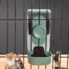 Cdycam Hanging Cage Automatic Pet Food Water Dispenser 35oz, Gravity Refill Food and Siphon Suction Water Set for Medium Small Animals Puppy Cat Rabbit Chinchilla and Ferret (Food Dispenser)