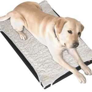 Farm Innovators Model HM-100L Large 24-Inch by 29-Inch Plastic Heated Pet Mat with Fleece Cover, 100-Watt