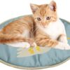 Fowybe Cat Heating Pad, Cute Duck Waterproof Pet Heating Mat For Cats, Electric Pet Heated Bed Mat Indoor With Adjustable Temperature For Puppy Cats And Dogs