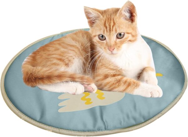 Fowybe Cat Heating Pad, Cute Duck Waterproof Pet Heating Mat For Cats, Electric Pet Heated Bed Mat Indoor With Adjustable Temperature For Puppy Cats And Dogs