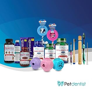 Petdentist Love Your Pets With  Love Their Smile With Quality Dental Care 