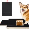Zuimei Dog Nail Scratch Board, Multifunctional Scratching Boards Dog Nail File Board Puppy Nail Grinding Pad Sturdy Dog Paws Scratchboard with Built-in Snack Box for Pet