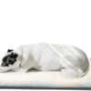 loapooet Pet Heating Pad for Dogs and Cats,Heated Dog Mat,Heated Cat pad with Prevention of Chewing,with LED Display Screen,40F-140F Temperature Regulation，17x18/26inch (17in*26in)