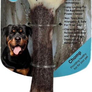 J&E Importers The Pet Store Maximum Strength Tough Extreme Jurassic Bone Dog Chew Toy For Aggressive Chewers 7''