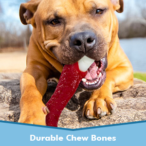 indestructible dog toys for aggressive chewers