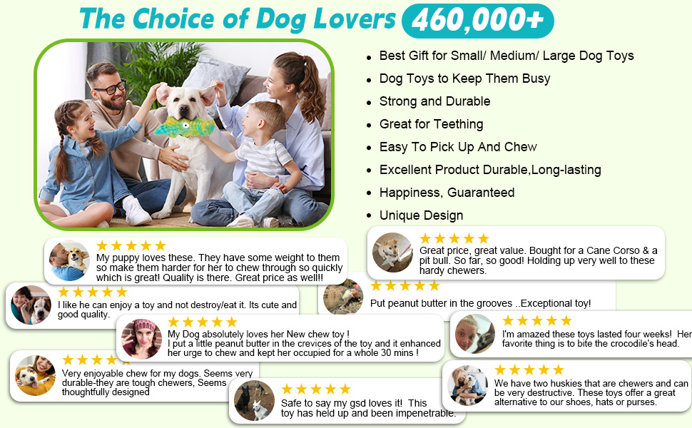 dog toys for aggressive chewers