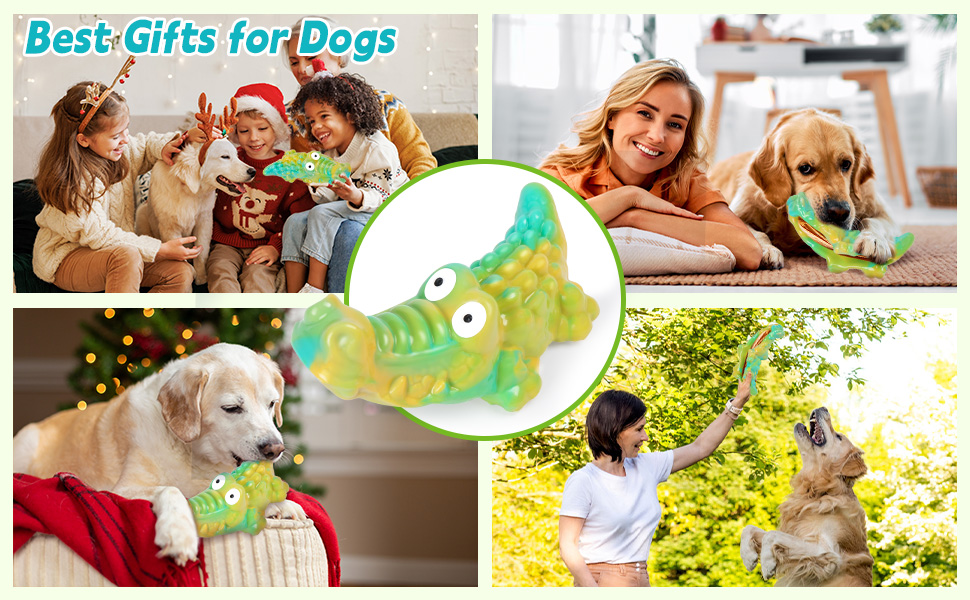 dog chew toys