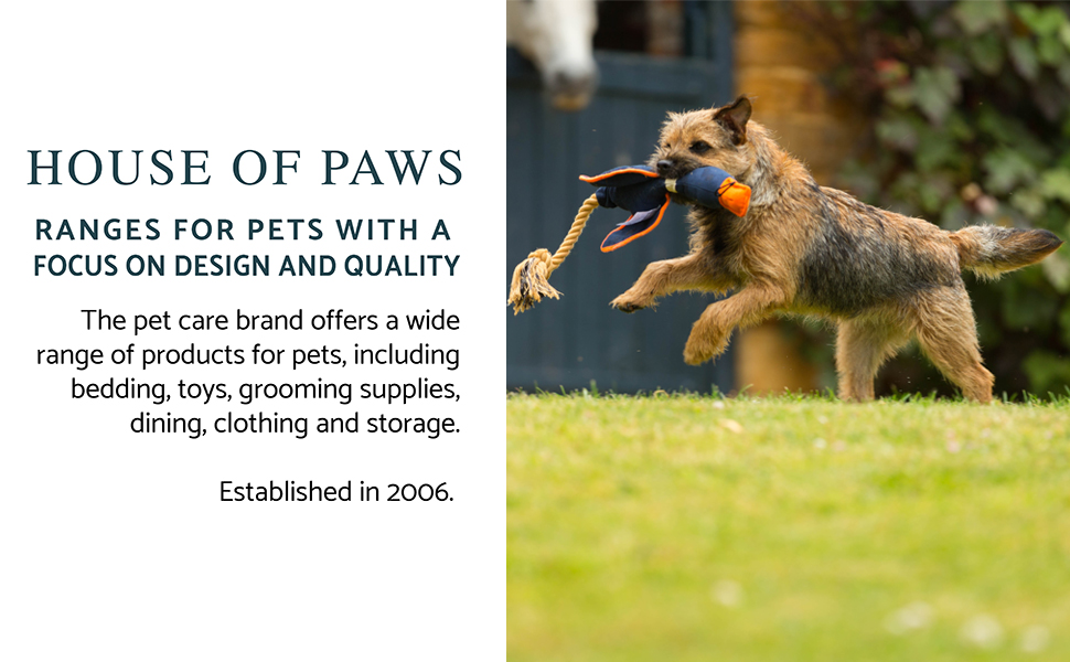 luxury pets supplies, toys, beds, clothing