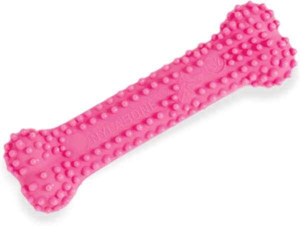 Nylabone Gentle Puppy Teething Dental Chew Toy Bone with Nubs & Ridges, Chicken Flavour, Pink, XS, for Puppies Up to 7 kg