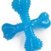 Nylabone Gentle Puppy Dog Teething X Bone Dental Chew Toy, Beef Flavour, Extra Small, for Puppies Up to 7 kg