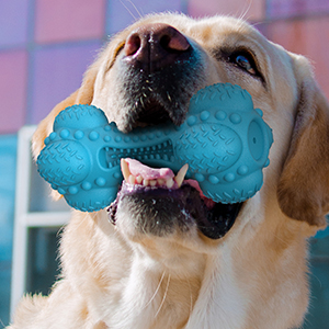 dog toys for aggressive chewers