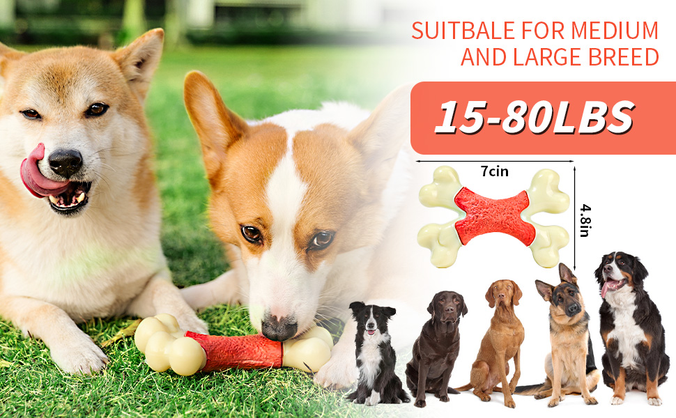 strong dog toys, durable dog toys, dog chews, dog chews long lasting natural, brussel sprout dog toy