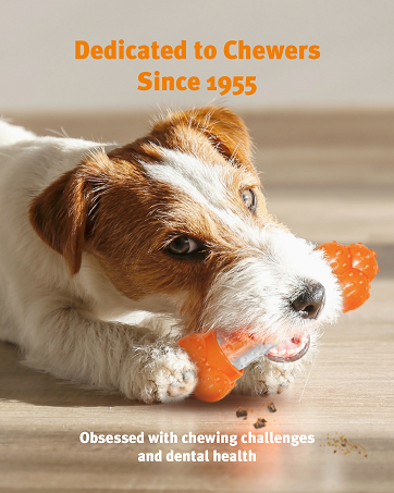 jack russel dog chewing nylabone sneaky snacker treat disperser toy