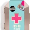 BLINGSTING First AID KIT - Rose Gold Clutch with 75 Essential Medical Supplies, Mini Compact Safety Emergency Case for Tra.