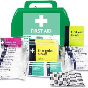 LEWIS-PLAST Premium Small 1-10 Persons Polypropylene First Aid Box - Complete with Integrated Carry Handle and Unique Flip-up Wall Mounting System - Meets Health & Safety Executive Guidelines