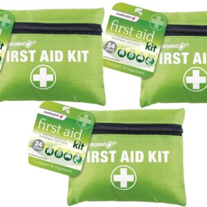 Masterplast Compact First Aid Kit for Home Car Holiday and Workplace - Mini, Small, and Lightweight First Aid Kit - Essential Backpacking First Aid Travel Kit, 3 Pack + Cheeroo Magnet