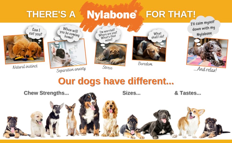 nylabone strong rubber dog puppy chew toy natural teeth gums dental care small medium large