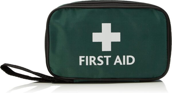 RELIANCE MEDICAL HSE 1 Person First Aid Kit in Small Green Pouch For Home Car Holiday And Workplace - Essentials For Everyday Situations