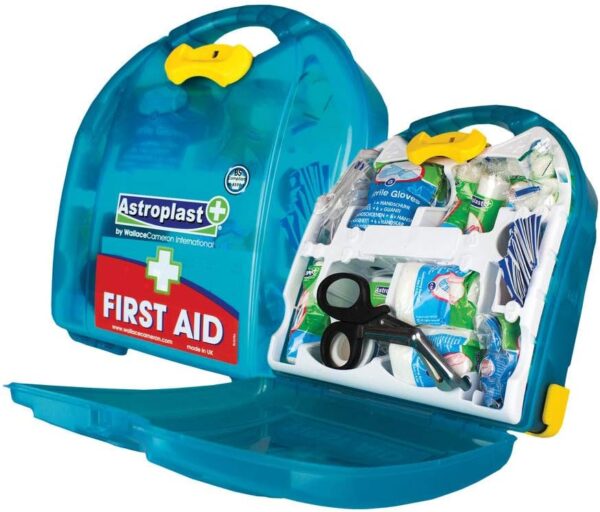 Wallace Cameron 1002655 Small First Aid Kit, 30.0 cm*27.0 cm*10.2 cm, Green