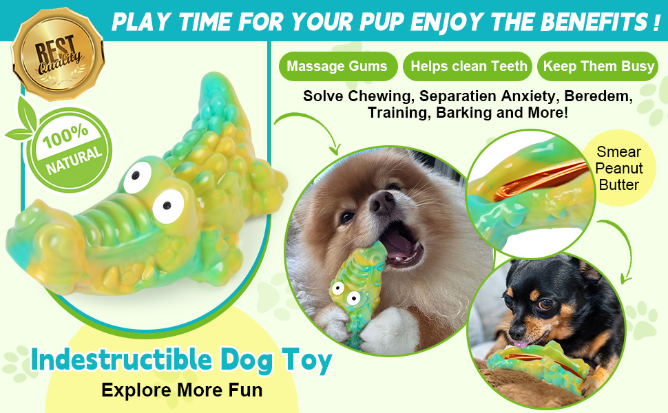 dog toys